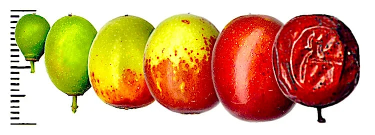 5.png