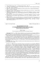 ПОДЗЕМНЫЕ ПОЛОСТИ У ТУРЕЦКОЙ КРЕПОСТИ НА РЕКЕ БАКАНКА В КРАСНОДАРСКОМ КРАЕ