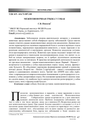 МЕЖПОЗВОНОЧНАЯ ГРЫЖА У СОБАК