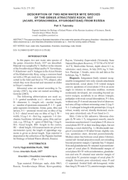 DESCRIPTION OF TWO NEW WATER MITE SPECIES OF THE GENUS ATRACTIDES KOCH, 1837  (ACARI, HYDRACHNIDIA, HYGROBATIDAE) FROM RUSSIA