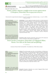 НОВЫЕ ДАННЫЕ О ФАУНЕ И МОРФОЛОГИИ ЖУКОВ-КАРАПУЗИКОВ (COLEOPTERA, HISTERIDAE) ВОЛГОГРАДСКОЙ ОБЛАСТИ