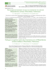 ПАТОГЕНРАСПОЗНАЮЩИЕ МОЛЕКУЛЫ ГЕМОЦИТОВ МОЛЛЮСКОВ PLANORBARIUS CORNEUS (PLANORBIDAE, PULMONATA)