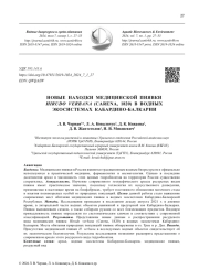 НОВЫЕ НАХОДКИ МЕДИЦИНСКОЙ ПИЯВКИ HIRUDO VERBANA (CARENA, 1820) В ВОДНЫХ ЭКОСИСТЕМАХ КАБАРДИНО-БАЛКАРИИ