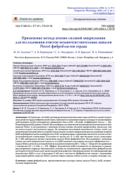 Применение метода атомно-силовой микроскопии для исследования ответов механочувствительных каналов Piezo1 фибробластов сердца
