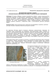 МЕТОДИЧЕСКИЕ ПОДХОДЫ К ЗАЩИТЕ АРХЕОЛОГИЧЕСКИХ ПАМЯТНИКОВ ПРИТОМЬЯ ОТ БИОЛОГИЧЕСКИХ ПОВРЕЖДЕНИЙ