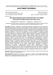 АНАТОМОФУНКЦИОНАЛЬНАЯ ХАРАКТЕРИСТИКА СОСТОЯНИЯ ВЕНОЗНОЙ СИСТЕМЫ ПЕЧЕНИ ПРИ ХОЛЕСТАЗАХ