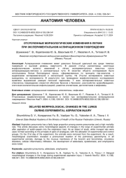 ОТСРОЧЕННЫЕ МОРФОЛОГИЧЕСКИЕ ИЗМЕНЕНИЯ В ЛЕГКИХ ПРИ ЭКСПЕРИМЕНТАЛЬНОМ АСПИРАЦИОННОМ ПОВРЕЖДЕНИИ