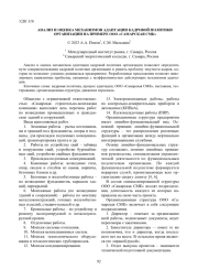 АНАЛИЗ И ОЦЕНКА МЕХАНИЗМОВ АДАПТАЦИИ КАДРОВОЙ ПОЛИТИКИ ОРГАНИЗАЦИИ НА ПРИМЕРЕ ООО "САМАРСКАЯ СМК"