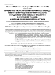ПРОДЛЁННАЯ УЛЬТРАЗВУК-АССИСТИРОВАННАЯ БЛОКАДА НЕРВОВ НЕЙРОФАСЦИАЛЬНОГО ПРОСТРАНСТВА ПЕРЕДНЕЙ ЗУБЧАТОЙ МЫШЦЫ У ПАЦИЕНТОВ С СОЧЕТАННОЙ ТРАВМОЙ.  ОПИСАНИЕ СЕРИИ КЛИНИЧЕСКИХ СЛУЧАЕВ