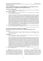 АККУМУЛЯЦИЯ ТЯЖЕЛЫХ МЕТАЛЛОВ И МЫШЬЯКА РАСТЕНИЯМИ ACHILLEA MILLEFOLIUM L. В УСЛОВИЯХ ТЕХНОГЕННОЙ НАГРУЗКИ