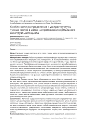 Особенности распределения и ультраструктуры тучных клеток в матке на протяжении нормального менструального цикла