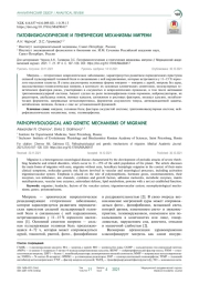 ПАТОФИЗИОЛОГИЧЕСКИЕ И ГЕНЕТИЧЕСКИЕ МЕХАНИЗМЫ МИГРЕНИ