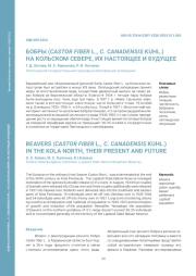 БОБРЫ (CASTOR FIBER L., C. CANADENSIS KUHL.) НА КОЛЬСКОМ СЕВЕРЕ, ИХ НАСТОЯЩЕЕ И БУДУЩЕЕ