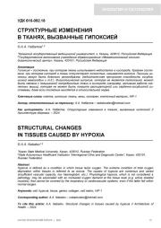 СТРУКТУРНЫЕ ИЗМЕНЕНИЯ В ТКАНЯХ, ВЫЗВАННЫЕ ГИПОКСИЕЙ