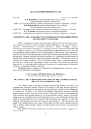 АНАТОМИЧЕСКИЕ ОСОБЕННОСТИ СТРОЕНИЯ ЖЕЛУДОЧНО-КИШЕЧНОГО ТРАКТА КЕНГУРУ ВАЛЛАБИ