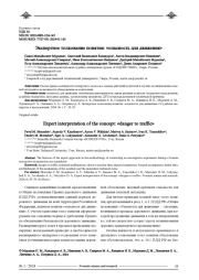 ЭКСПЕРТНОЕ ТОЛКОВАНИЕ ПОНЯТИЯ: "ОПАСНОСТЬ ДЛЯ ДВИЖЕНИЯ"