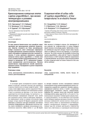 КРИОСОХРАНЕНИЕ КАЛЛУСНЫХ КЛЕТОК LUPINUS ANGUSTIFOLIUS L. ПРИ НИЗКИХ ТЕМПЕРАТУРАХ В УСЛОВИЯХ ЭЛЕКТРОМОРОЗИЛЬНИКА