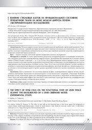 ВЛИЯНИЕ СТВОЛОВЫХ КЛЕТОК НА ФУНКЦИОНАЛЬНОЕ СОСТОЯНИЕ ПЕЧЕНОЧНОЙ ТКАНИ НА ФОНЕ МОДЕЛИ ЦИРРОЗА ПЕЧЕНИ (ЭКСПЕРИМЕНТАЛЬНОЕ ИССЛЕДОВАНИЕ)