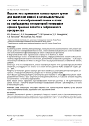 Перспективы применения компьютерного зрения для выявления камней в мочевыделительной системе и новообразований печени и почек на изображениях компьютерной томографии органов брюшной полости и забрюшинного пространства