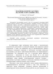 МОЛОДЁЖЬ В КОНТРКУЛЬТУРНЫХ ЭКСТРЕМИСТСКИХ СООБЩЕСТВАХ