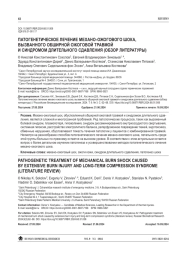 ПАТОГЕНЕТИЧЕСКОЕ ЛЕЧЕНИЕ МЕХАНО-ОЖОГОВОГО ШОКА, ВЫЗВАННОГО ОБШИРНОЙ ОЖОГОВОЙ ТРАВМОЙ И СИНДРОМОМ ДЛИТЕЛЬНОГО СДАВЛЕНИЯ (ОБЗОР ЛИТЕРАТУРЫ)