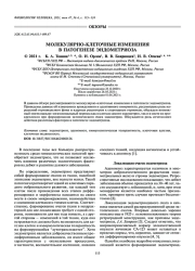 МОЛЕКУЛЯРНО-КЛЕТОЧНЫЕ ИЗМЕНЕНИЯ В ПАТОГЕНЕЗЕ ЭНДОМЕТРИОЗА