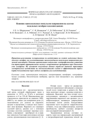 Влияние наносекундных импульсов напряжения на клетки модельных мембран млекопитающих