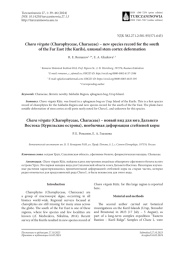 CHARA VIRGATA (CHAROPHYCEAE, CHARACEAE) - НОВЫЙ ВИД ДЛЯ ЮГА ДАЛЬНЕГО ВОСТОКА (КУРИЛЬСКИЕ ОСТРОВА), НЕОБЫЧНАЯ ДЕФОРМАЦИЯ СТЕБЛЕВОЙ КОРЫ