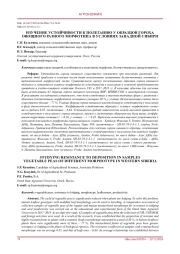 Изучение устойчивости к полеганию у образцов гороха овощного разного морфотипа в условиях Западной Сибири
