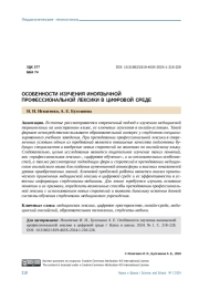 ОСОБЕННОСТИ ИЗУЧЕНИЯ ИНОЯЗЫЧНОЙ ПРОФЕССИОНАЛЬНОЙ ЛЕКСИКИ В ЦИФРОВОЙ СРЕДЕ