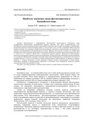 НАИБОЛЕЕ ЗНАЧИМЫЕ ВИДЫ ФИТОПЛАНКТОНА В КАСПИЙСКОМ МОРЕ