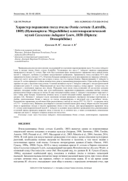 ХАРАКТЕР ПОРАЖЕНИЯ ГНЕЗД ПЧЕЛЫ OSMIA CORNUTA (LATREILLE, 1805) (HYMENOPTERA: MEGACHILIDAE) КЛЕПТОПАРАЗИТИЧЕСКОЙ МУХОЙ CACOXENUS INDAGATOR LOEW, 1858 (DIPTERA: DROSOPHILIDAE)