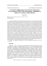 УТОЧНЕНИЕ МОРФОЛОГИИ И ЭКОЛОГИИ ДВУХ ВИДОВ РОДА PECTENOGAMMARUS REID, 1940 (GAMMARIDAE, AMPHIPODA) ИЗ ЧЕРНОГО И АЗОВСКОГО МОРЕЙ (КРЫМ)