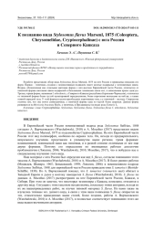 К ПОЗНАНИЮ ВИДА STYLOSOMUS FLAVUS MARSEUL, 1875 (COLEOPTERA, CHRYSOMELIDAE, CRYPTOCEPHALINAE) С ЮГА РОССИИ И СЕВЕРНОГО КАВКАЗА