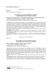 Управление сбалансированным развитием региональной экосистемы IT-парков