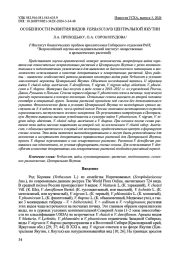 Особенности развития видов Verbascum в Центральной Якутии