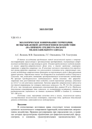 ЭКОЛОГИЧЕСКОЕ ЗОНИРОВАНИЕ ТЕРРИТОРИИ, ИСПЫТЫВАЮЩЕЙ АНТРОПОГЕННОЕ ВОЗДЕЙСТВИЕ (НА ПРИМЕРЕ СРЕДНЕУРАЛЬСКОГО МЕДЕПЛАВИЛЬНОГО ЗАВОДА)