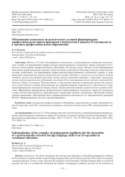 Обоснование комплекса педагогических условий формирования профессионально-ориентированного иноязычного навыка IT-специалиста в среднем профессиональном образовании