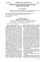ПТИЦЫ РОССИИ И СОПРЕДЕЛЬНЫХ РЕГИОНОВ: БОЛЬШОЙ ПЛАВУНЧИК