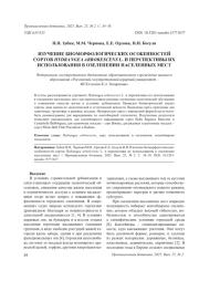 ИЗУЧЕНИЕ БИОМОРФОЛОГИЧЕСКИХ ОСОБЕННОСТЕЙ СОРТОВ HYDRANGEAARBORESCENS L. И ПЕРСПЕКТИВЫ ИХ ИСПОЛЬЗОВАНИЯ В ОЗЕЛЕНЕНИИ НАСЕЛЕННЫХ МЕСТ