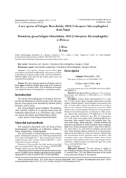 Новый вид рода Eulagius Motschulsky, 1845 (Coleoptera: Mycetophagidae) из Непала