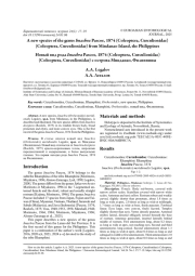 Новый вид рода Imachra Pascoe, 1874 (Coleoptera, Curculionidae) (Coleoptera, Curculionidae) с острова Минданао, Филиппины