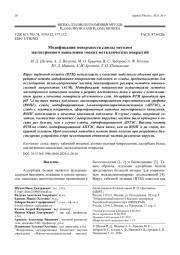 Модификация поверхности слюды методом магнетронного напыления тонких металлических покрытий