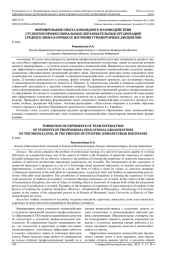 ФОРМИРОВАНИЕ ОПЫТА КОМАНДНОГО ВЗАИМОДЕЙСТВИЯ СТУДЕНТОВ ПРОФЕССИОНАЛЬНЫХ ОБРАЗОВАТЕЛЬНЫХ ОРГАНИЗАЦИЙ СРЕДНЕГО ЗВЕНА В ПРОЦЕССЕ ИЗУЧЕНИЯ ГУМАНИТАРНЫХ ДИСЦИПЛИН