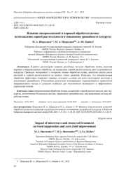 ВЛИЯНИЕ МИКРОВОЛНОВОЙ И ПАРОВОЙ ОБРАБОТКИ ПОЧВЫ НА ПОДАВЛЕНИЕ СОРНОЙ РАСТИТЕЛЬНОСТИ И ПОВЫШЕНИЕ УРОЖАЙНОСТИ КУКУРУЗЫ