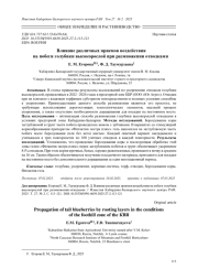 ВЛИЯНИЕ РАЗЛИЧНЫХ ПРИЕМОВ ВОЗДЕЙСТВИЯ НА ПОБЕГИ ГОЛУБИКИ ВЫСОКОРОСЛОЙ ПРИ РАЗМНОЖЕНИИ ОТВОДКАМИ