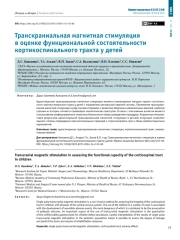 Транскраниальная магнитная стимуляция в оценке функциональной состоятельности кортикоспинального тракта у детей