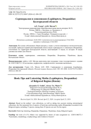 Серпокрылки и совковидки (Lepidoptera, Drepanidae) Белгородской области