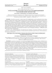 РОЛЬ БАКТЕРИЙ ACINETOBACTER BAUMANNII В ИНФЕКЦИОННОЙ ПАТОЛОГИИ (ОБЗОР ЛИТЕРАТУРЫ)