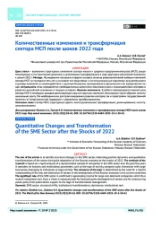 Количественные изменения и трансформация сектора МСП после шоков 2022 года